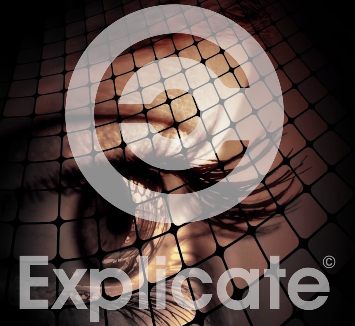 cat - biometrie 2